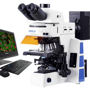 研究級(jí)正置熒光顯微鏡